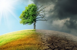 Đại dịch, biến đổi khí hậu và tương lai