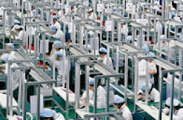 Tôi tiêu thụ, vậy tôi tồn tại: hãy sống, làm giàu, mua sắm!