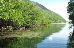 Tương lai Đại dương và Hồi phục Sinh thái