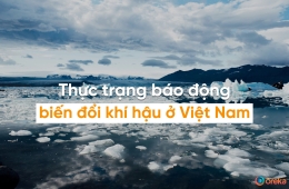 Biến đổi khí hậu Việt Nam và dự án 2050