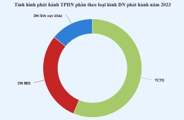 Loạt DN bất động sản khó trả nợ trái phiếu, nợ cao gấp nhiều lần vốn chủ sở hữu