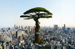 Degrowth In Japan