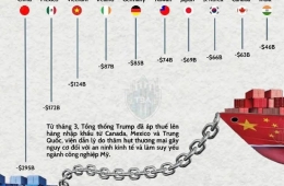 VIỆT NAM NHÌN VÁN CỜ CỦA TT TRUMP 
