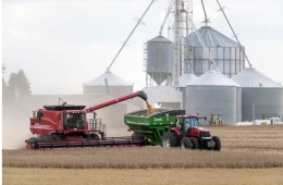 Economist suggests storing grain to prepare for next global emergency