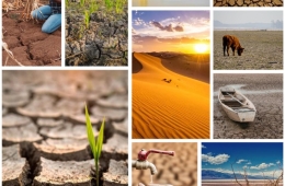 El Niño có thể tái xuất cuối năm 2026: Trái đất trước nguy cơ nóng kỷ lục