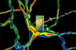 Hệ thống thần kinh hành tinh mới nổi của chúng ta