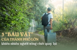 Tại sao nhiều người cầm tiền tỷ về quê chưa bao lâu đã hối hận: Thành phố lớn có 3 báu vật, không dễ gì nhiều người bỏ qua