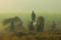 Lại một năm mờ mịt vì ô nhiễm không khí