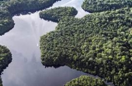 MUTIRÃO (CHUNG SỨC): LÝ THUYẾT VỀ SINH THÁI CỦA BRAZIL DÀNH CHO COP30