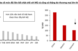 VinaCapital: 2025 có thể là năm biến động đối với thị trường chứng khoán và nền kinh tế