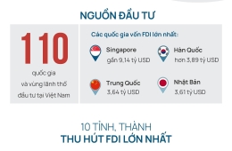 Dòng vốn FDI kỷ lục chảy vào Việt Nam ra sao?