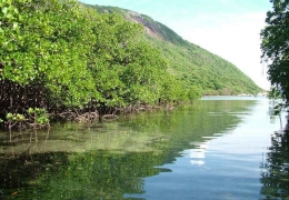 Tương lai Đại dương và Hồi phục Sinh thái