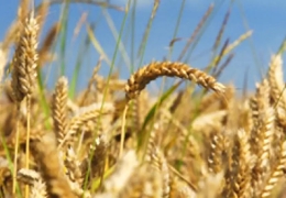 Trung Quốc tích trữ lương thực và năng lượng đề phòng rủi ro chiến tranh