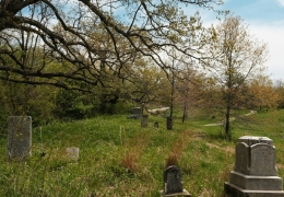 Nơi thảo nguyên vẫn còn