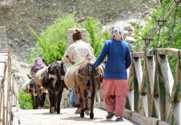 Gemini đã dự cảm khá rỏ dưới lăng kính của mac ngôn thé giới từ 2050. Nhưng từ 2010 ở...