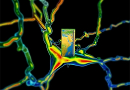 Hệ thống thần kinh hành tinh mới nổi của chúng ta