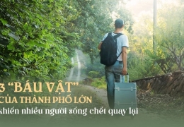 Tại sao nhiều người cầm tiền tỷ về quê chưa bao lâu đã hối hận: Thành phố lớn có 3 báu vật, không dễ gì nhiều người bỏ qua