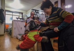 Cuộc sống về già của thế hệ đầu tiên chọn 'không con cái'