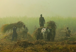 Lại một năm mờ mịt vì ô nhiễm không khí