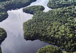 MUTIRÃO (CHUNG SỨC): LÝ THUYẾT VỀ SINH THÁI CỦA BRAZIL DÀNH CHO COP30