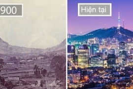 So sánh phát triển 200 năm trước