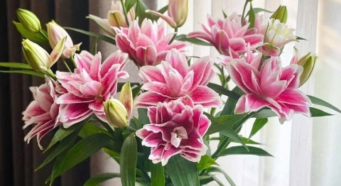 TỔNG QUAN THỊ TRƯỜNG BĐS VEN TP.HCM 2025 VÀ NHẬN ĐỊNH CHI TIẾT