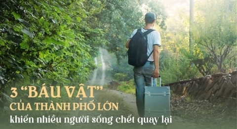 Tại sao nhiều người cầm tiền tỷ về quê chưa bao lâu đã hối hận: Thành phố lớn có 3 báu vật, không dễ gì nhiều người bỏ qua