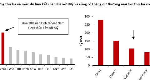 VinaCapital: 2025 có thể là năm biến động đối với thị trường chứng khoán và nền kinh tế